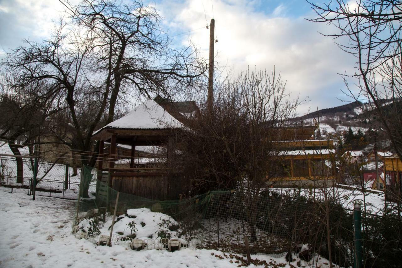 Apartament Zabava Jaremcze Zewnętrze zdjęcie